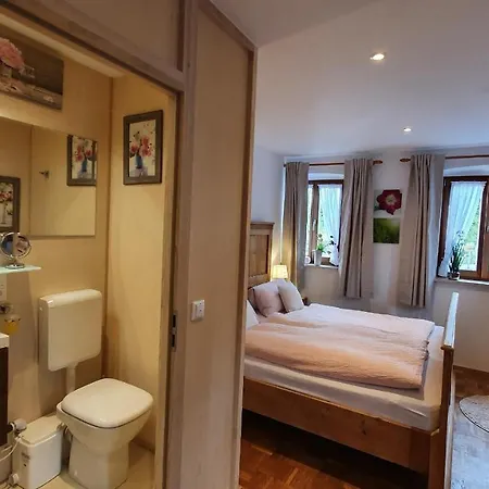 Daire Gaestezimmer Rinser Vogtareuth